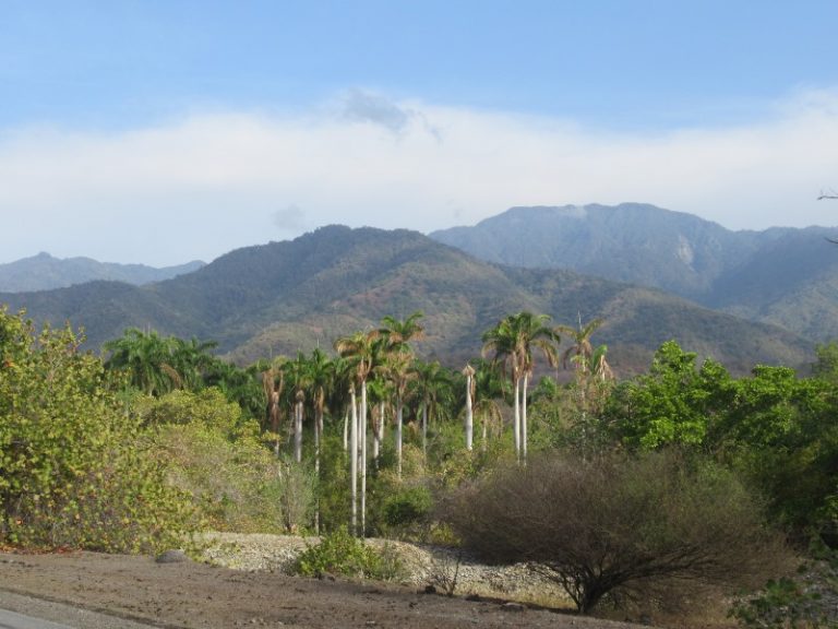Pico Turquino (1 974 m), until now, La Comandancia, the mountain shelter of Fidel Castro, has been preserved here.