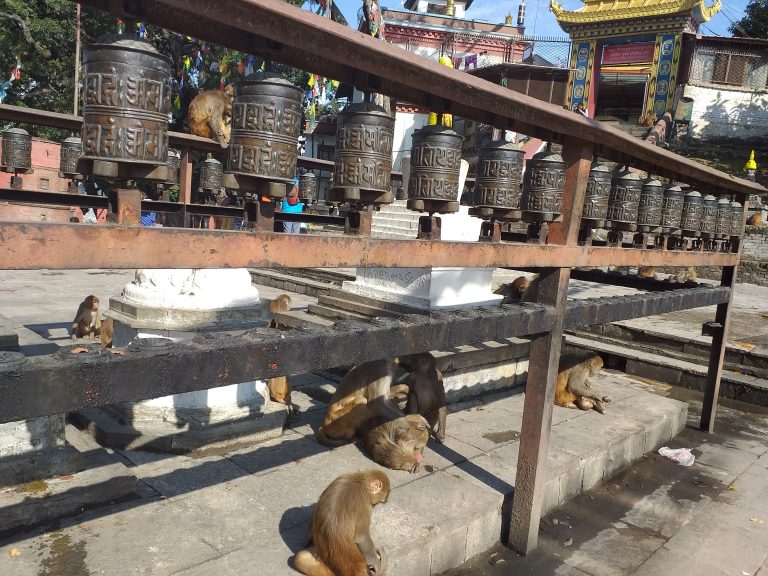 Around Monkey Temple.