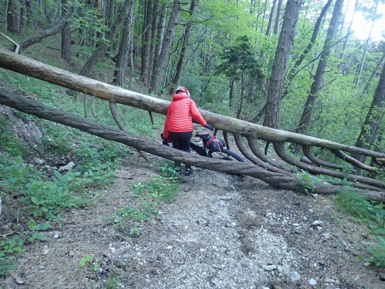 When you follow the SKTP route exactly, you will sometimes find sections for downhill riders so that they do not get bored :) ..., from Predmeja to Lokavec.
