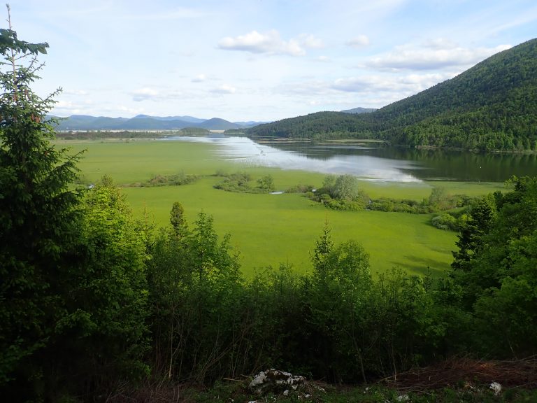 Cerknica Lake designated as a wetland of international importance. During the dry season (for about four months a year), the lake disappears.
